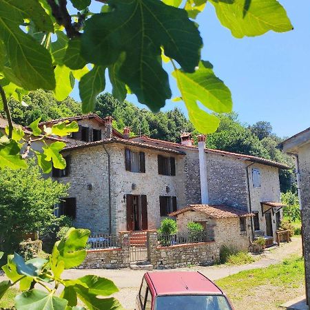 Cara House Tuscany - Zona Lucca Chiatri 外观 照片