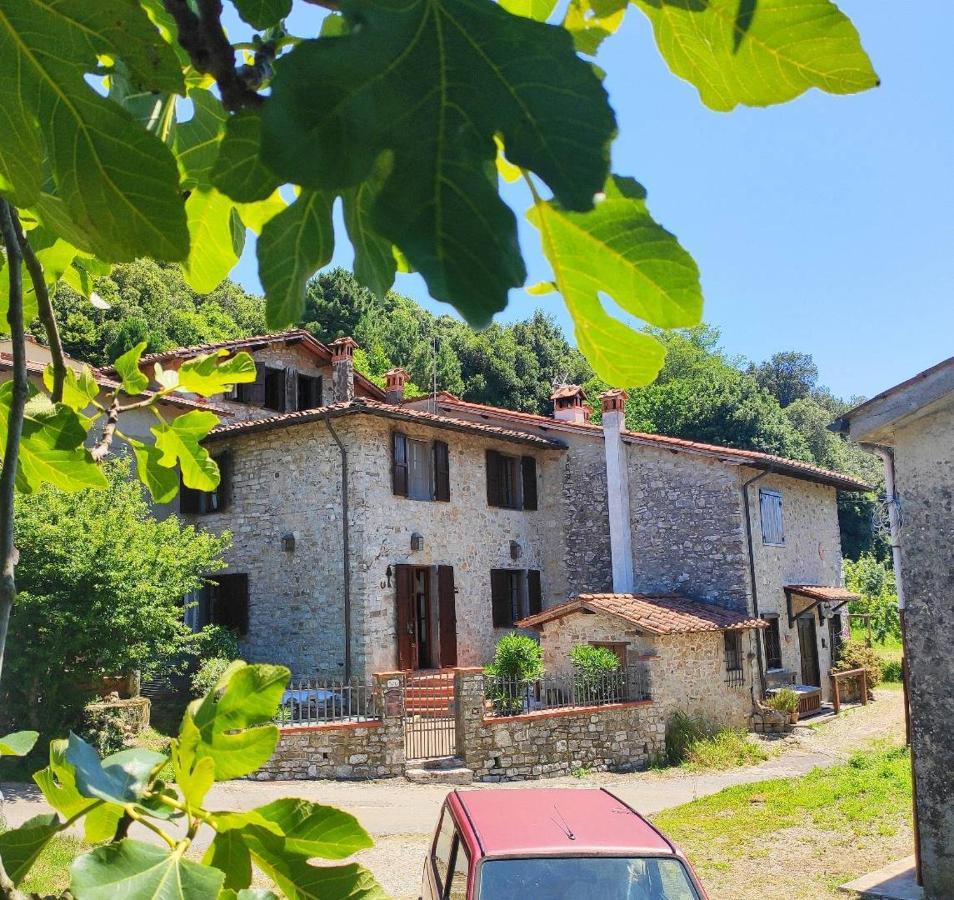 Cara House Tuscany - Zona Lucca Chiatri 外观 照片