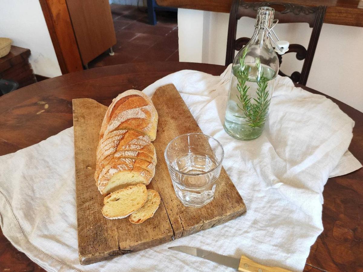Cara House Tuscany - Zona Lucca Chiatri 外观 照片